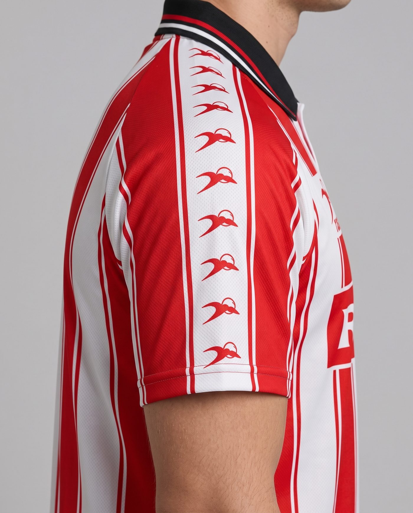 Detalle de la manga izquierda, a rayas, con la cinta de pájaros de rasán, de la camiseta Tato Abadía 10